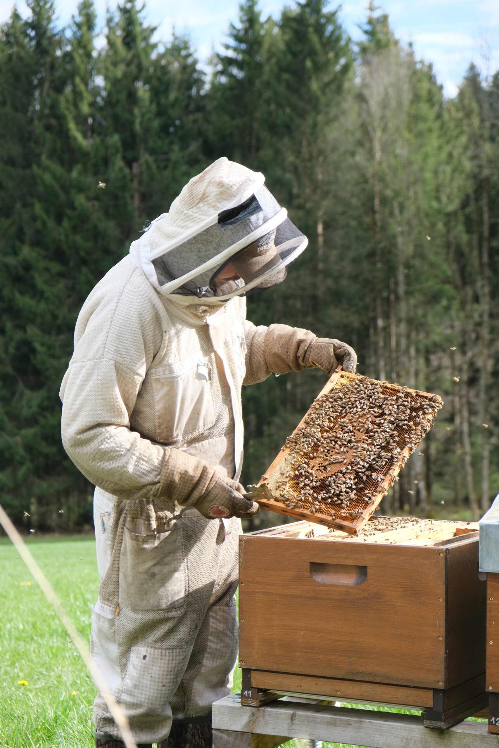 Honigfaktur_Allgäu_1