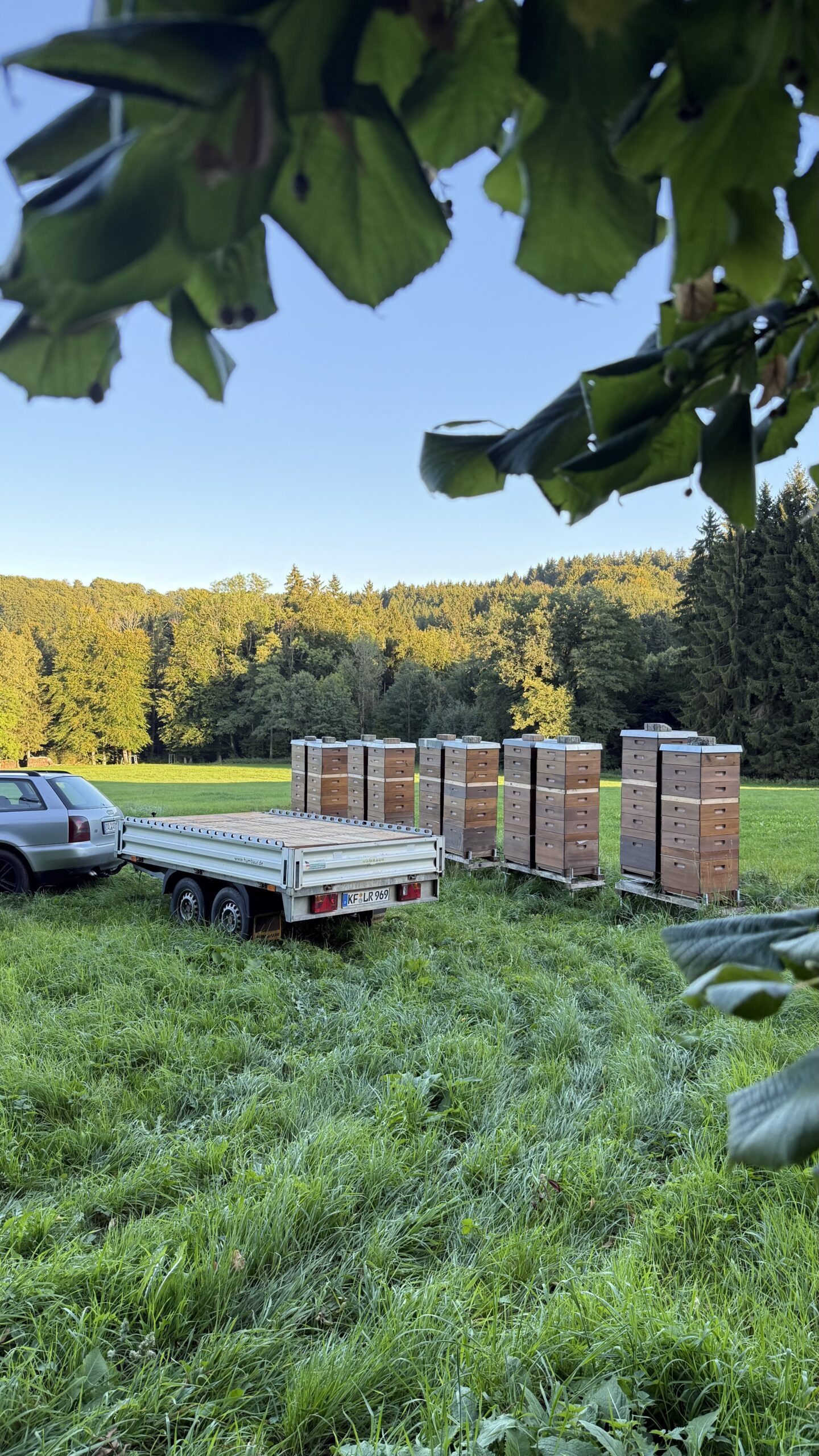 Honigfaktur_Allgäu_3