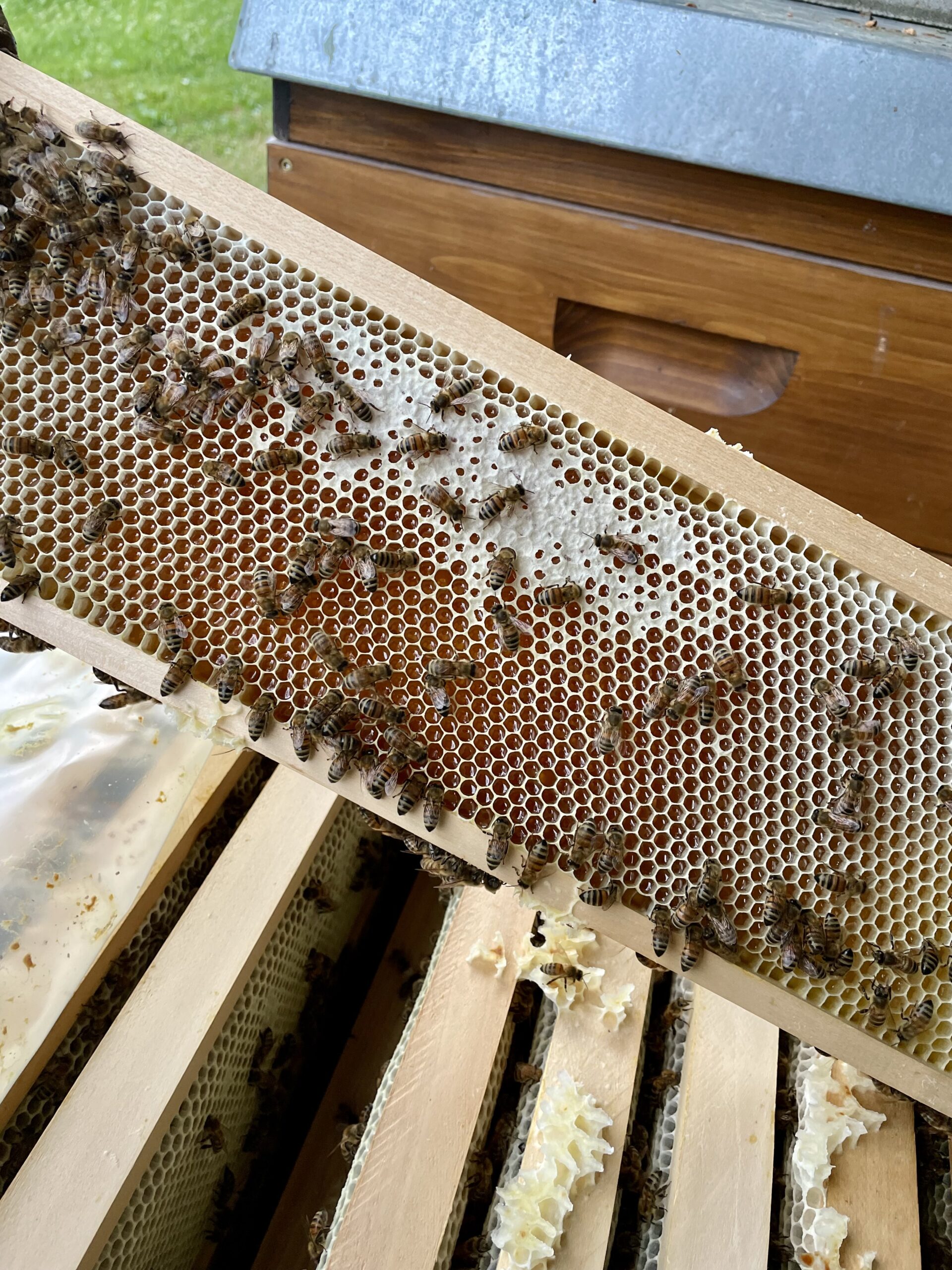 Honigfaktur_Allgäu_5