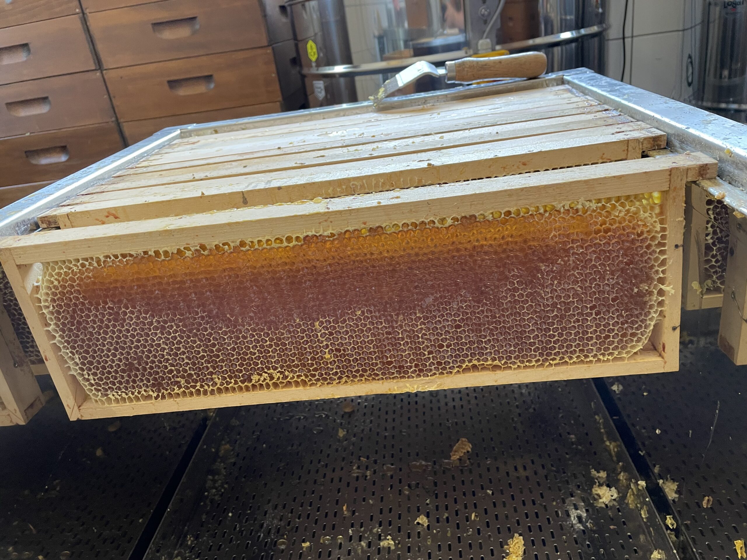 Honigfaktur_Allgäu_7